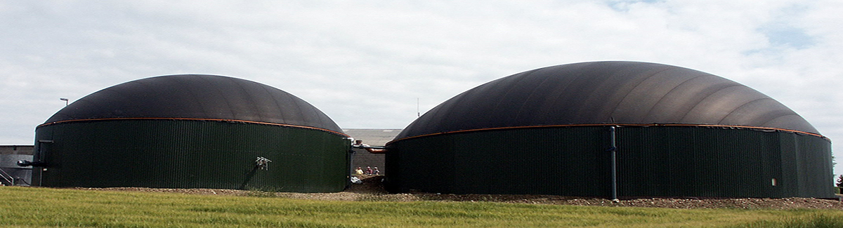 Project Force Services